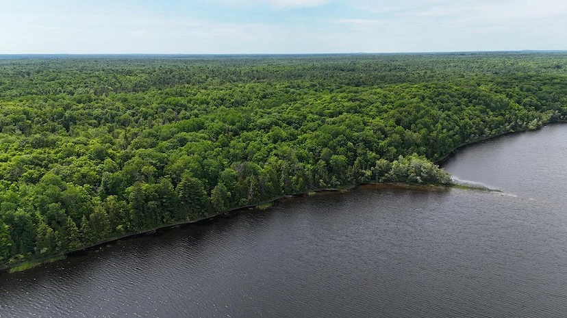 Invest In Nature On Pristine Tangamong Lake
