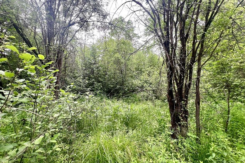 property-image-6