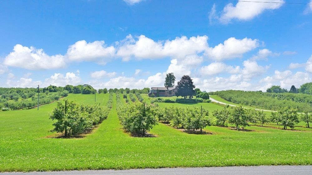 Orchard & Distillery + Acre Farm – Carlisle