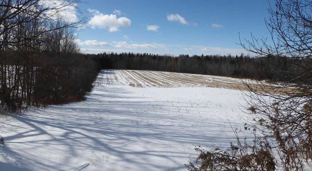 1 Acre Building Lot – Erin