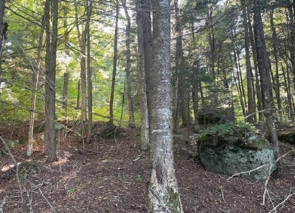 property-image-6