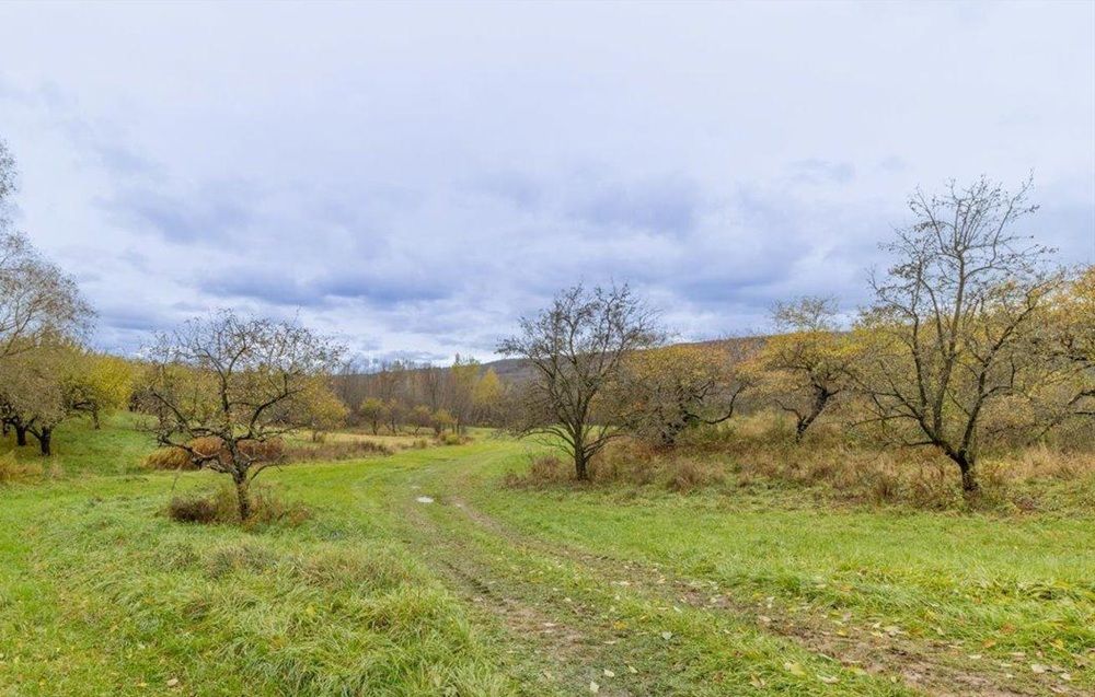 property-image-6