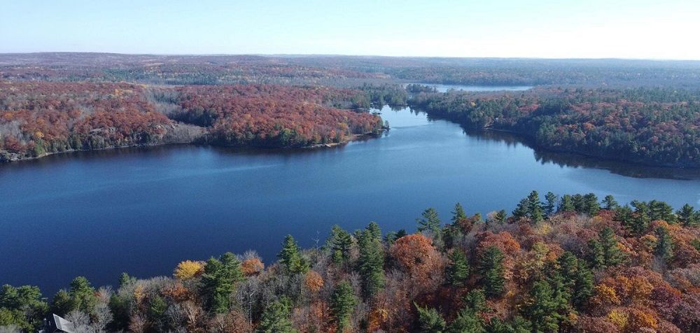 Rarely Found - Waterfront Cottage Plus Forest Investment Retreat