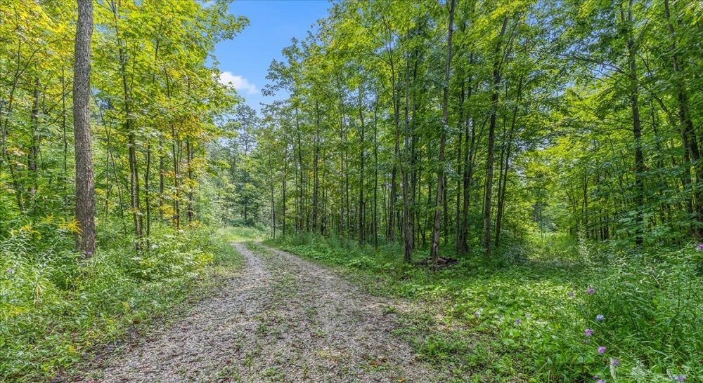 property-image-3