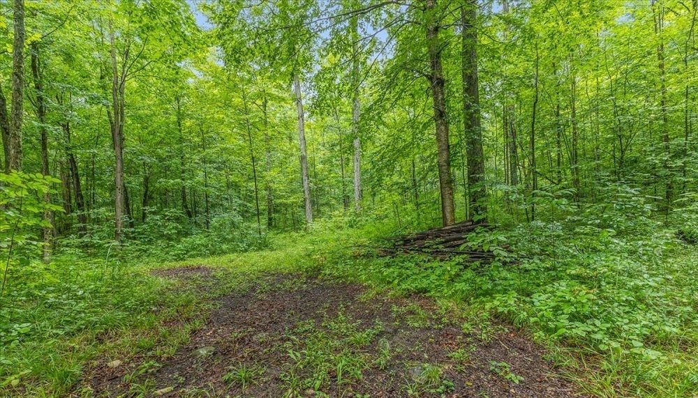 property-image-4