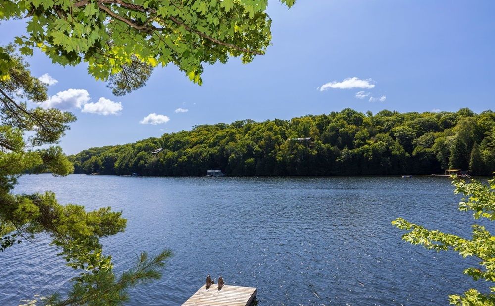 Turnkey Cottage On Otter Lake!