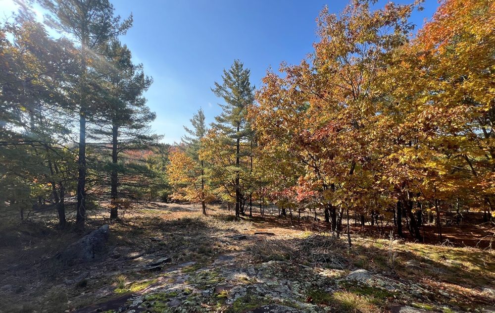 Desirable Bayview Building Lot!