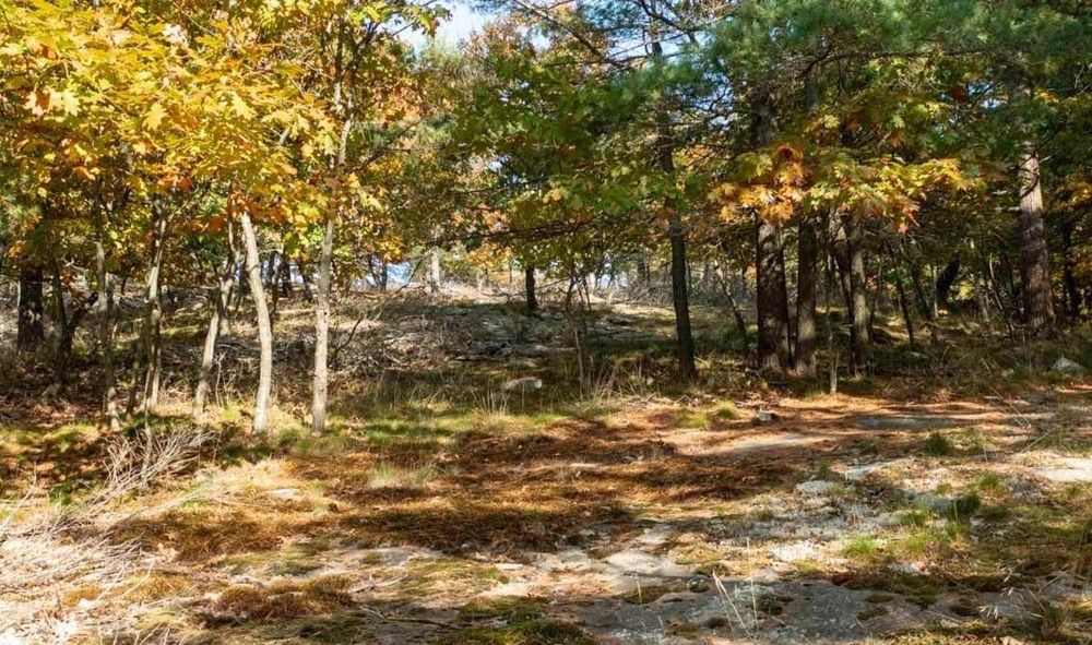 property-image-2