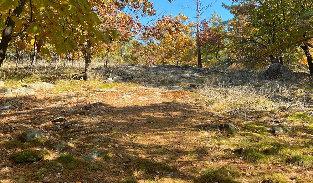 property-image-6