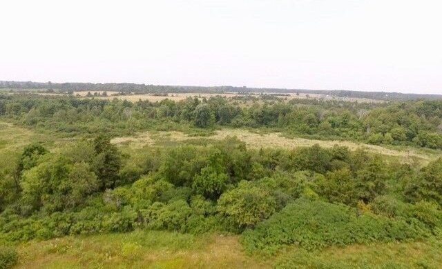 Prince Edward County