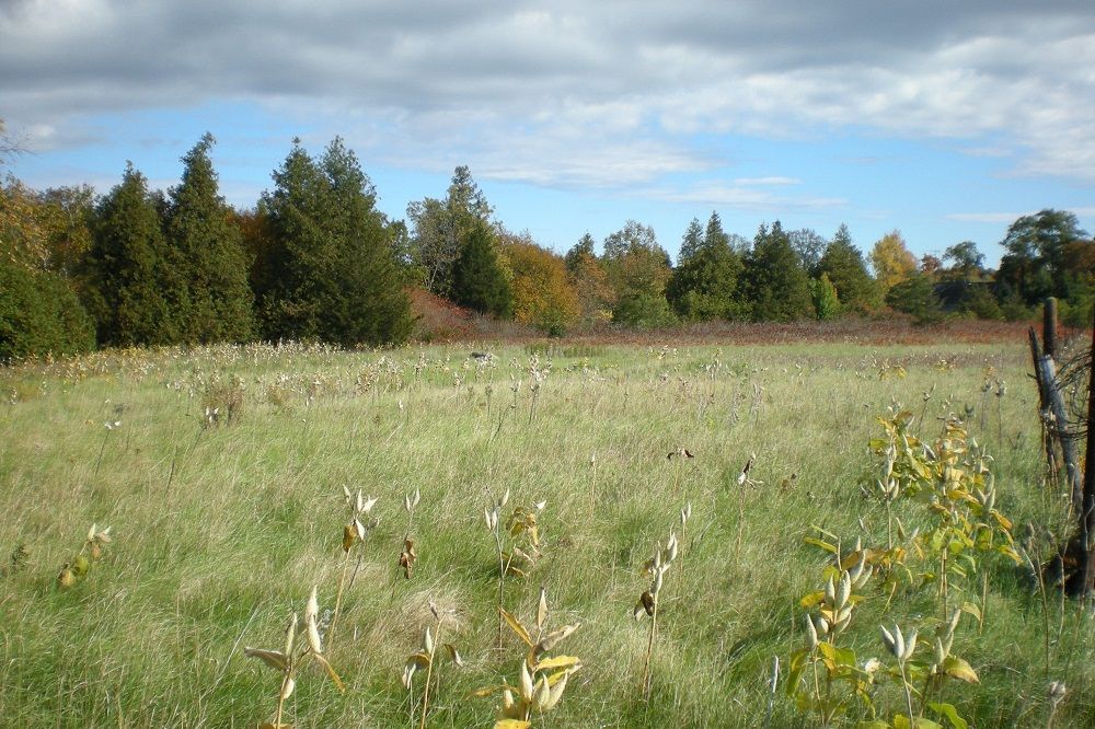 property-image-7
