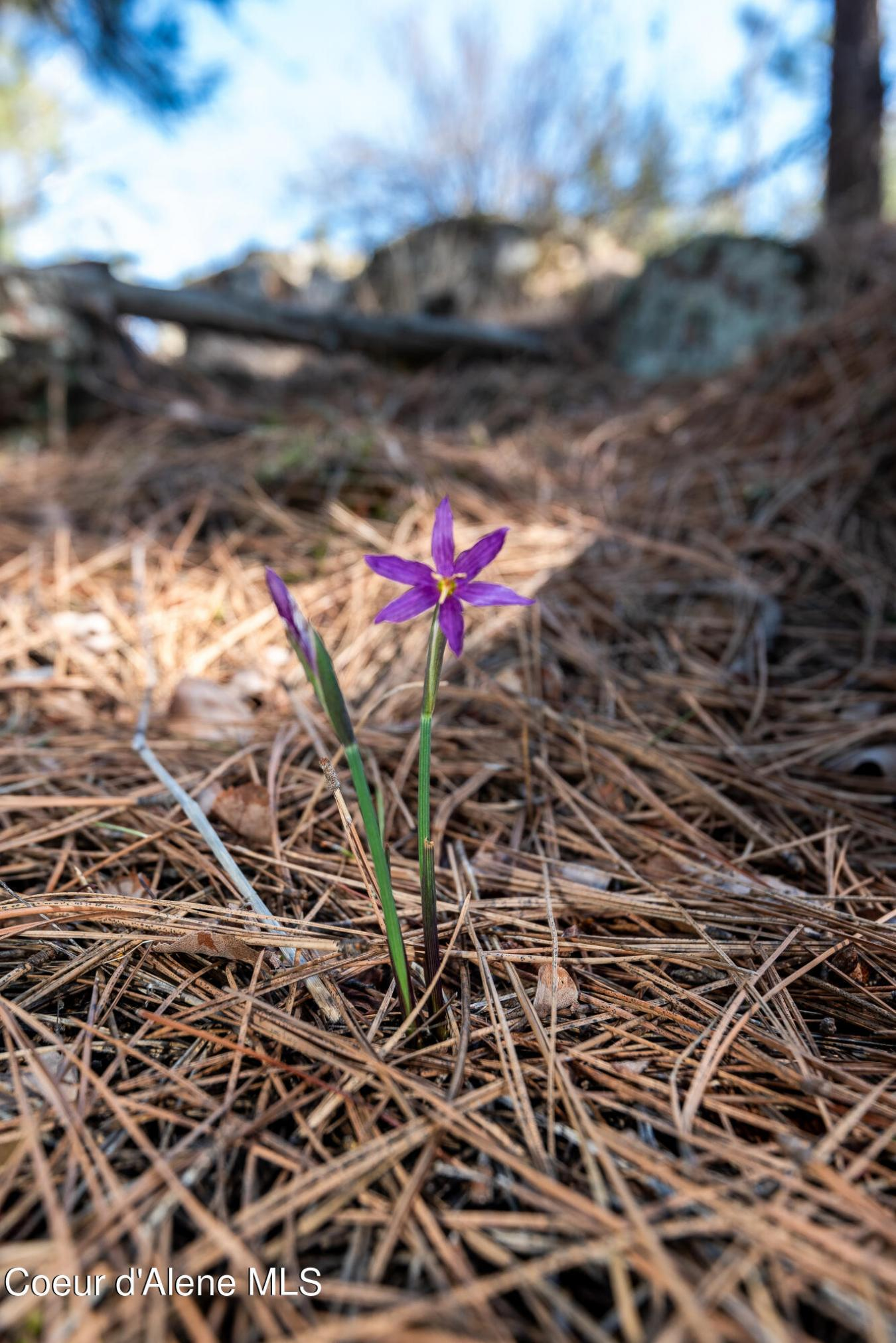 property-image-10