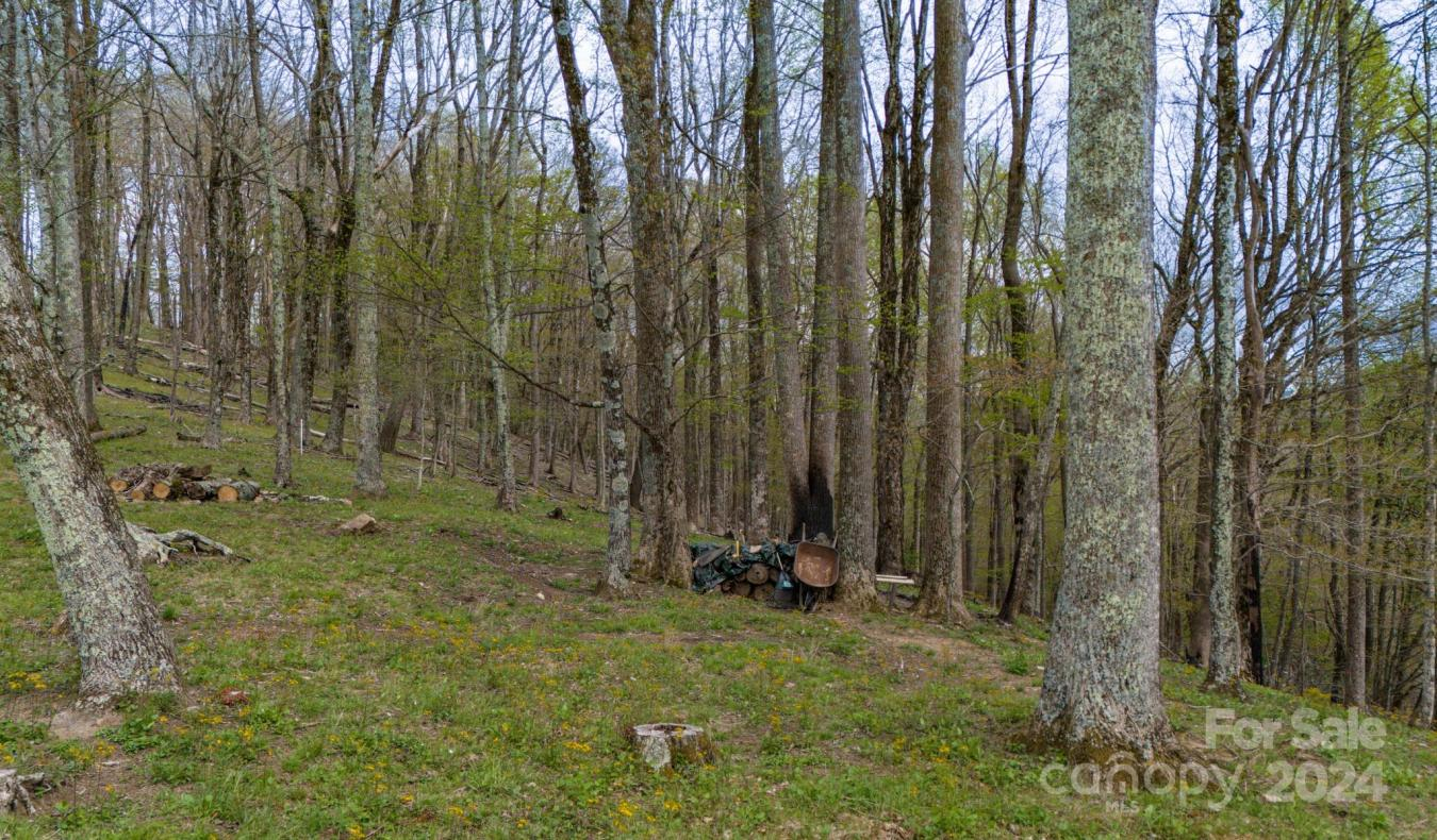 property-image-19
