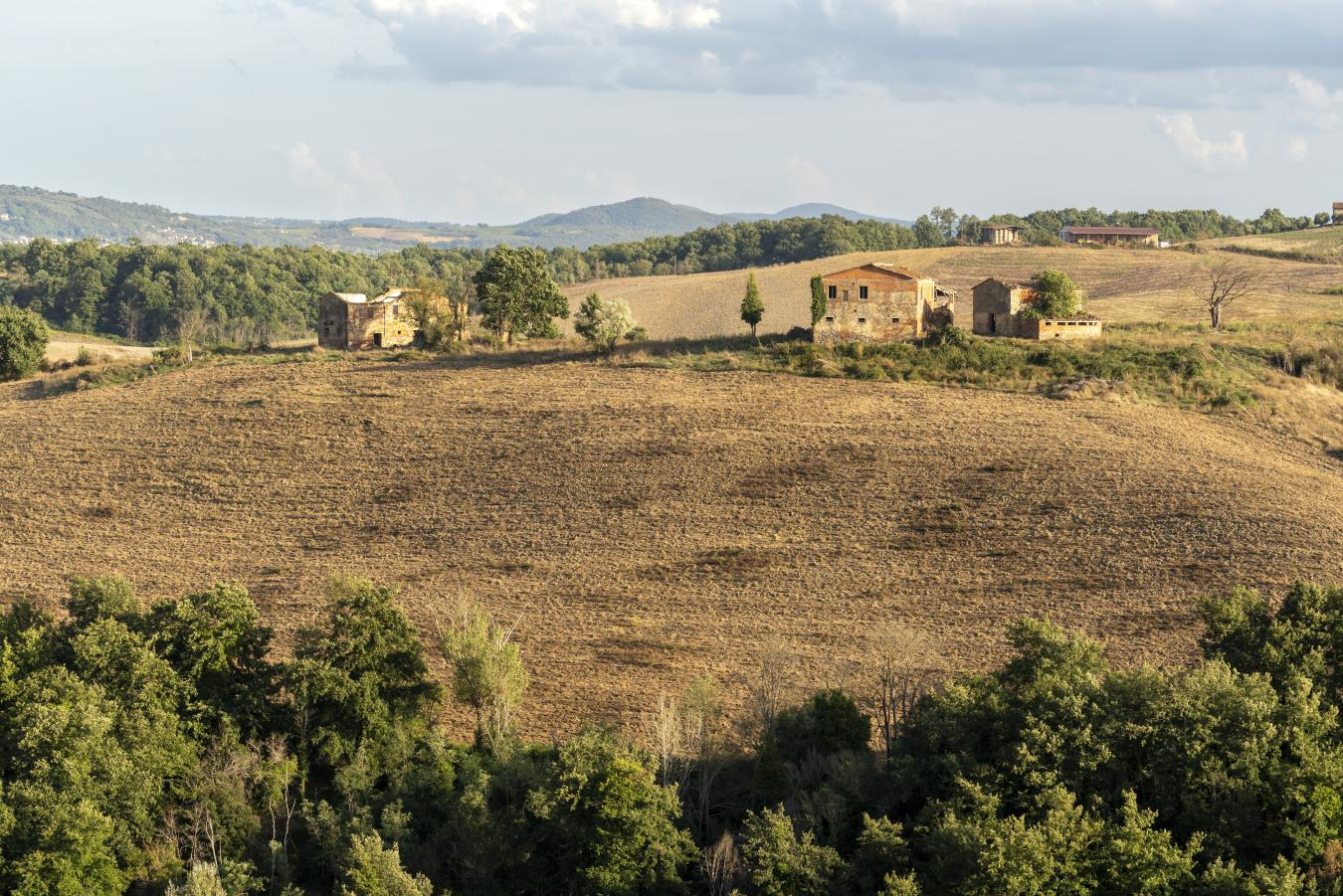 property-image-12