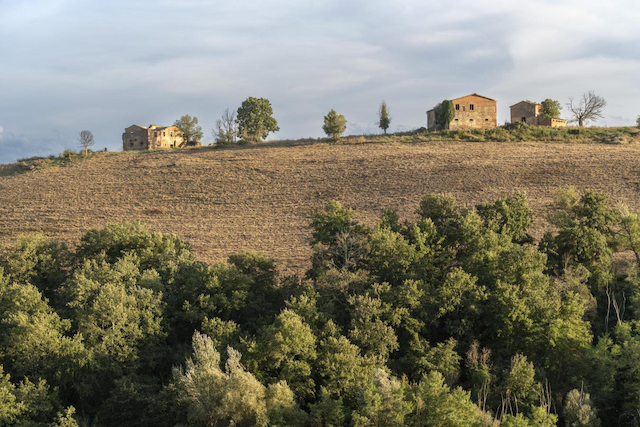 property-image-3