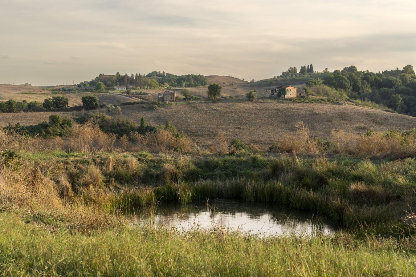 property-image-18