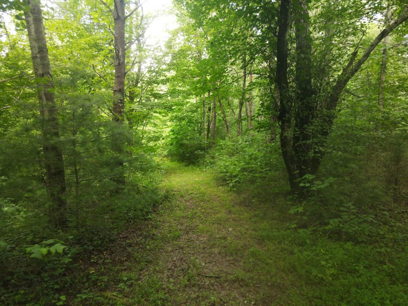 property-image-5