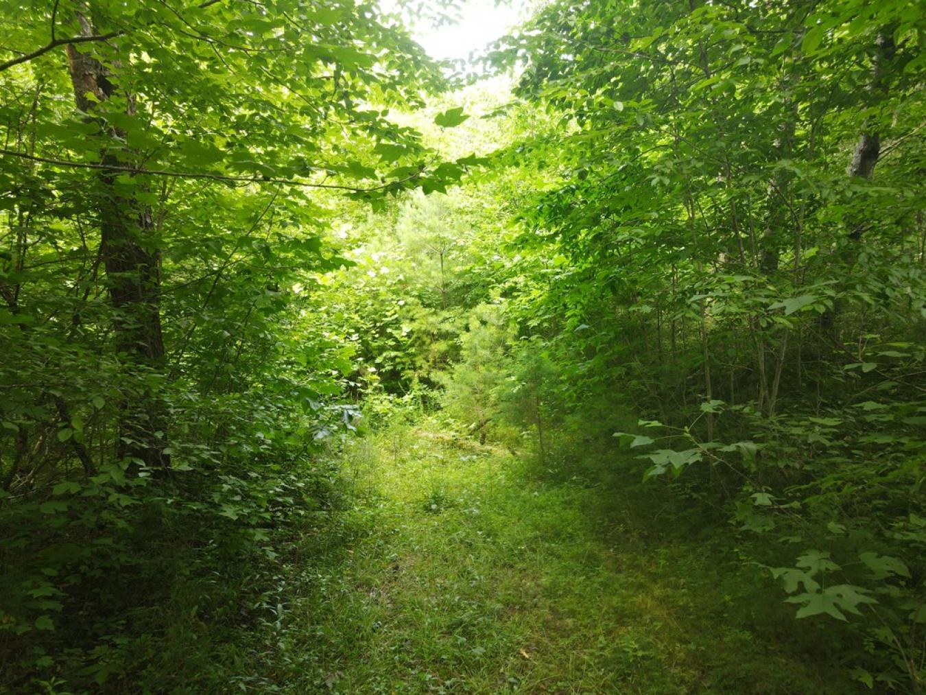 property-image-6