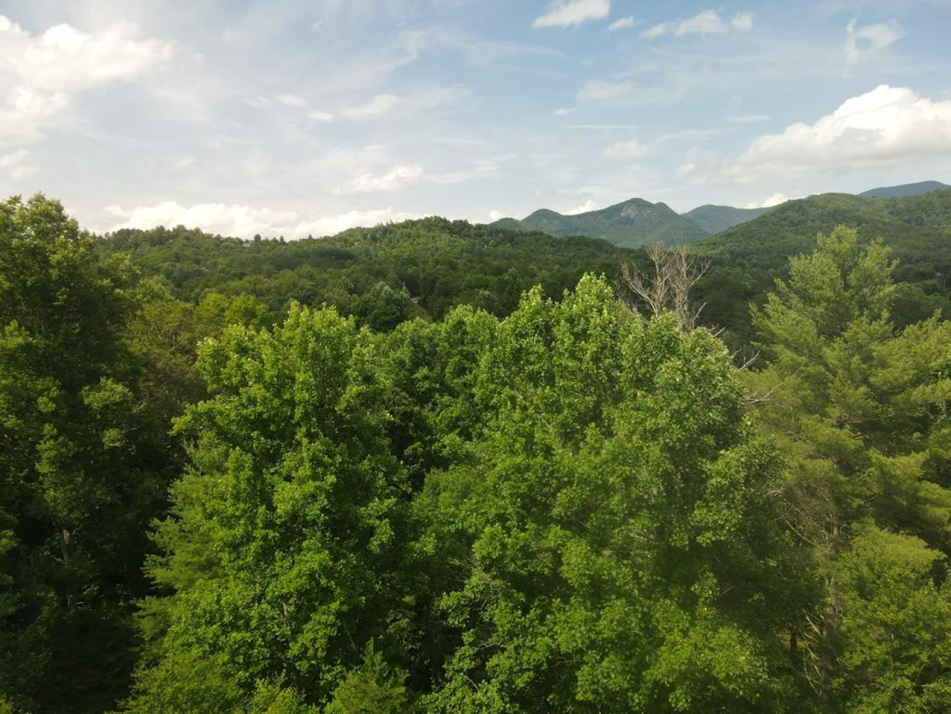 property-image-8