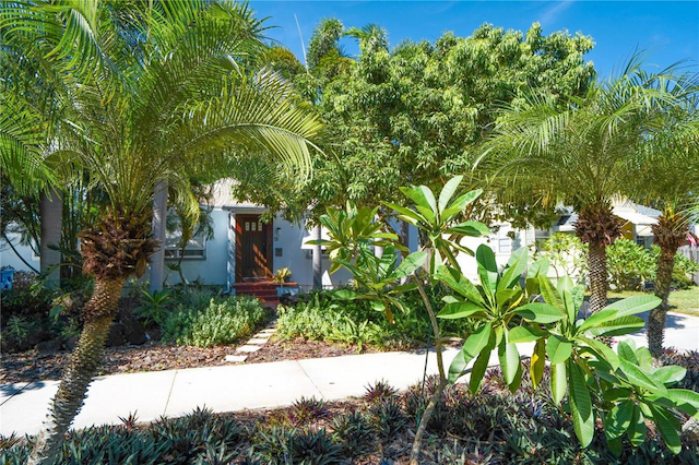 property-image-2