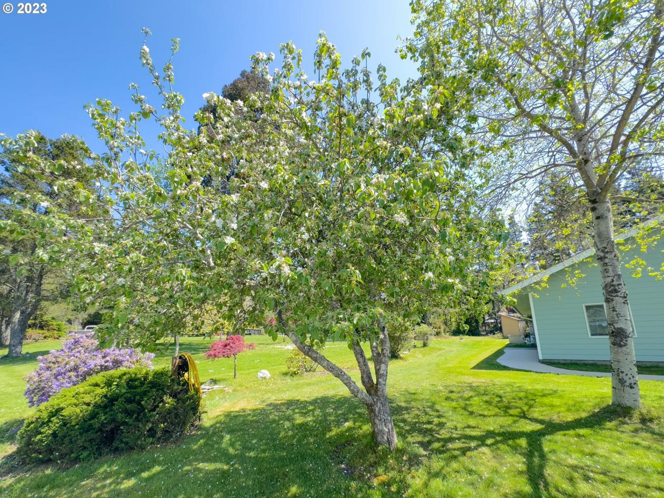 property-image-21