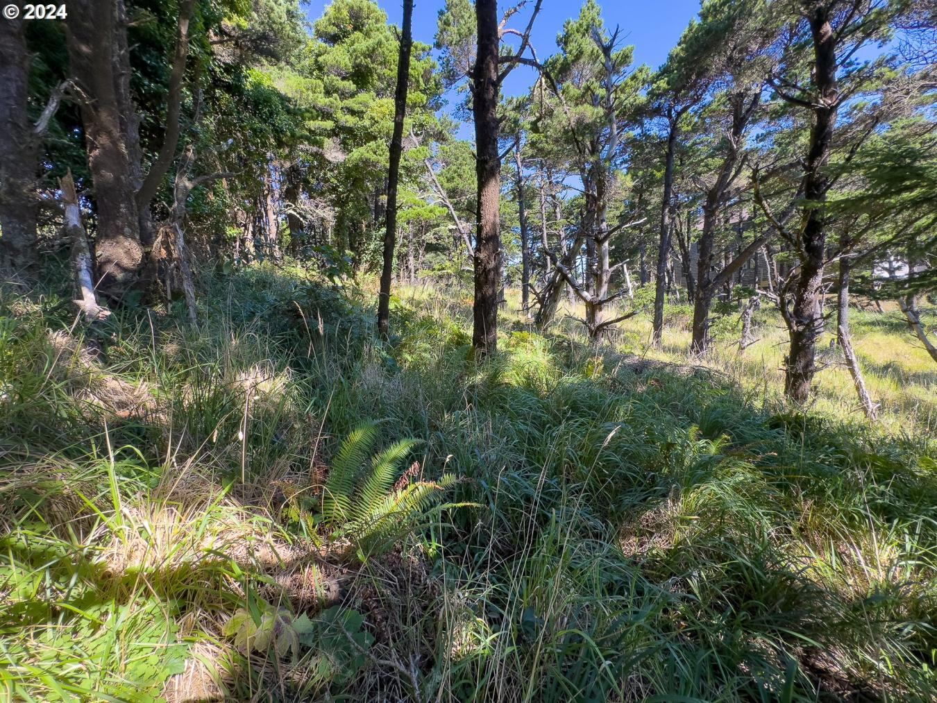 property-image-13
