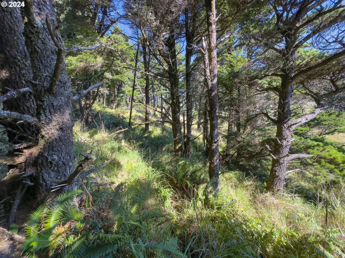 property-image-17