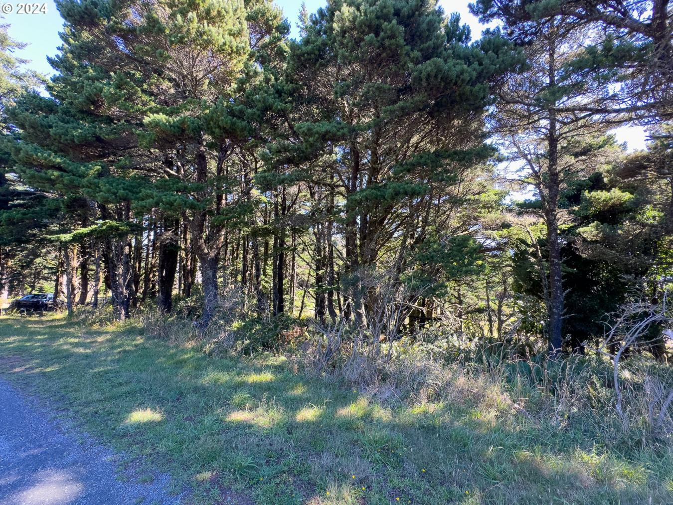 property-image-18
