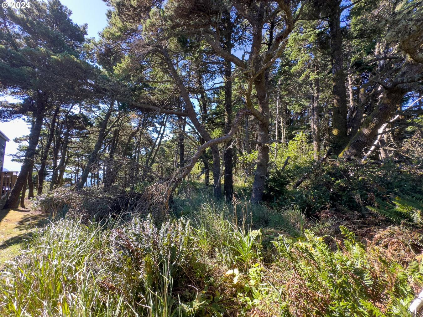 property-image-19