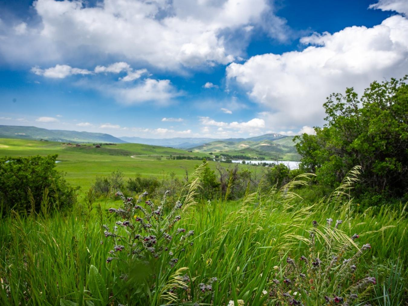property-image-16