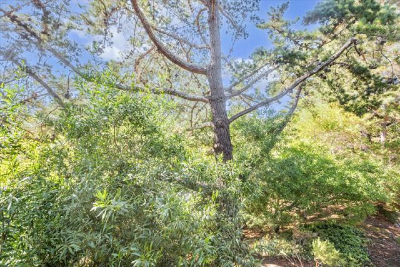 property-image-32