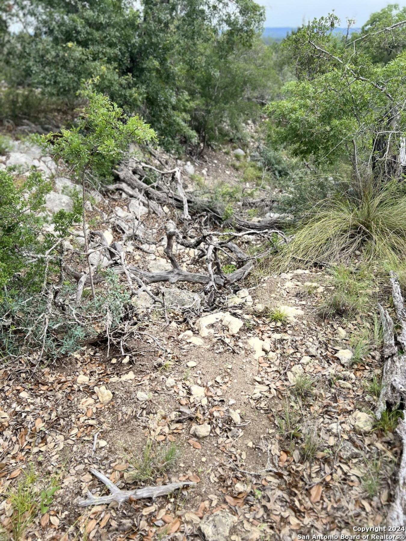 property-image-10
