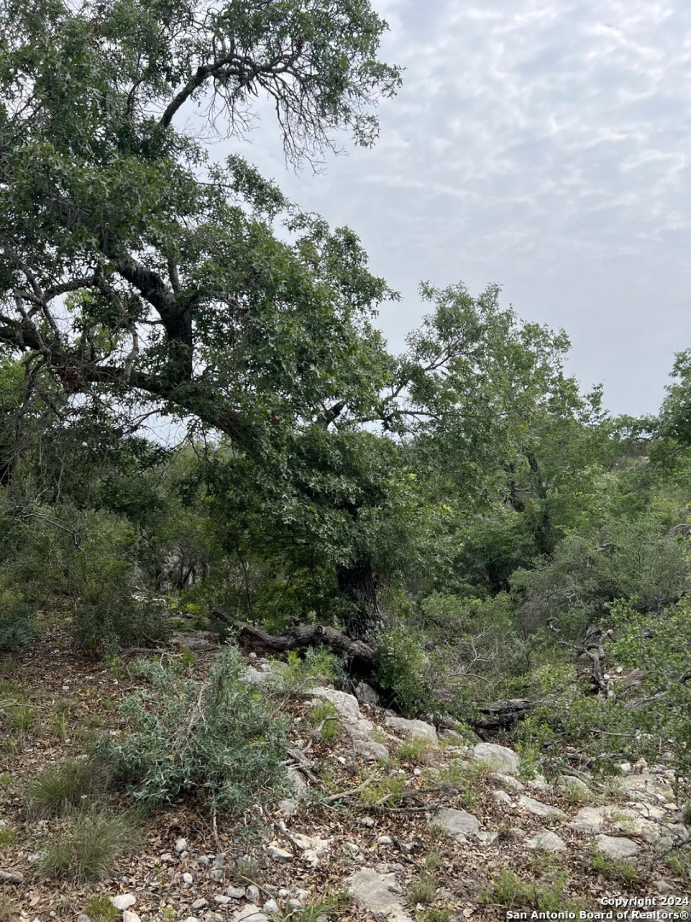 property-image-11
