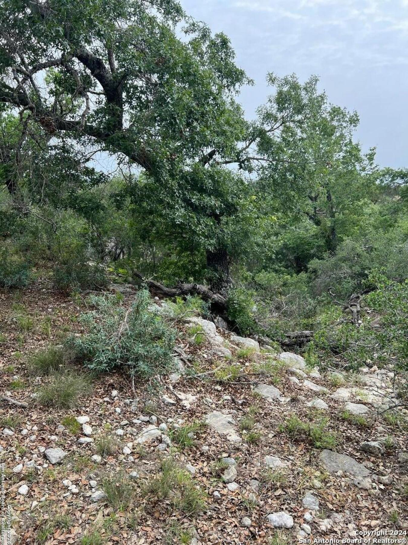 property-image-12