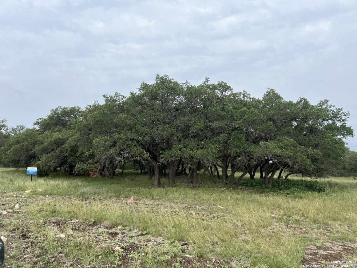 property-image-4