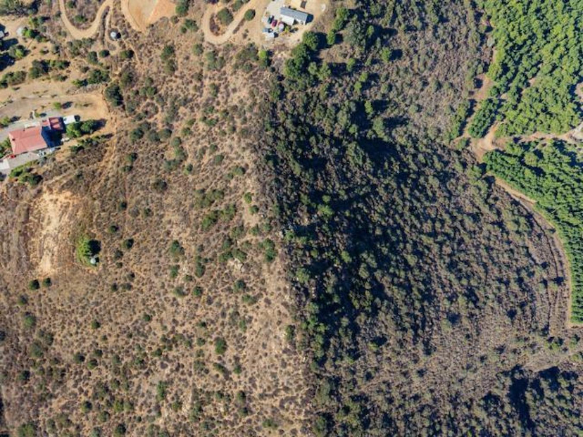 Bandy Canyon Road