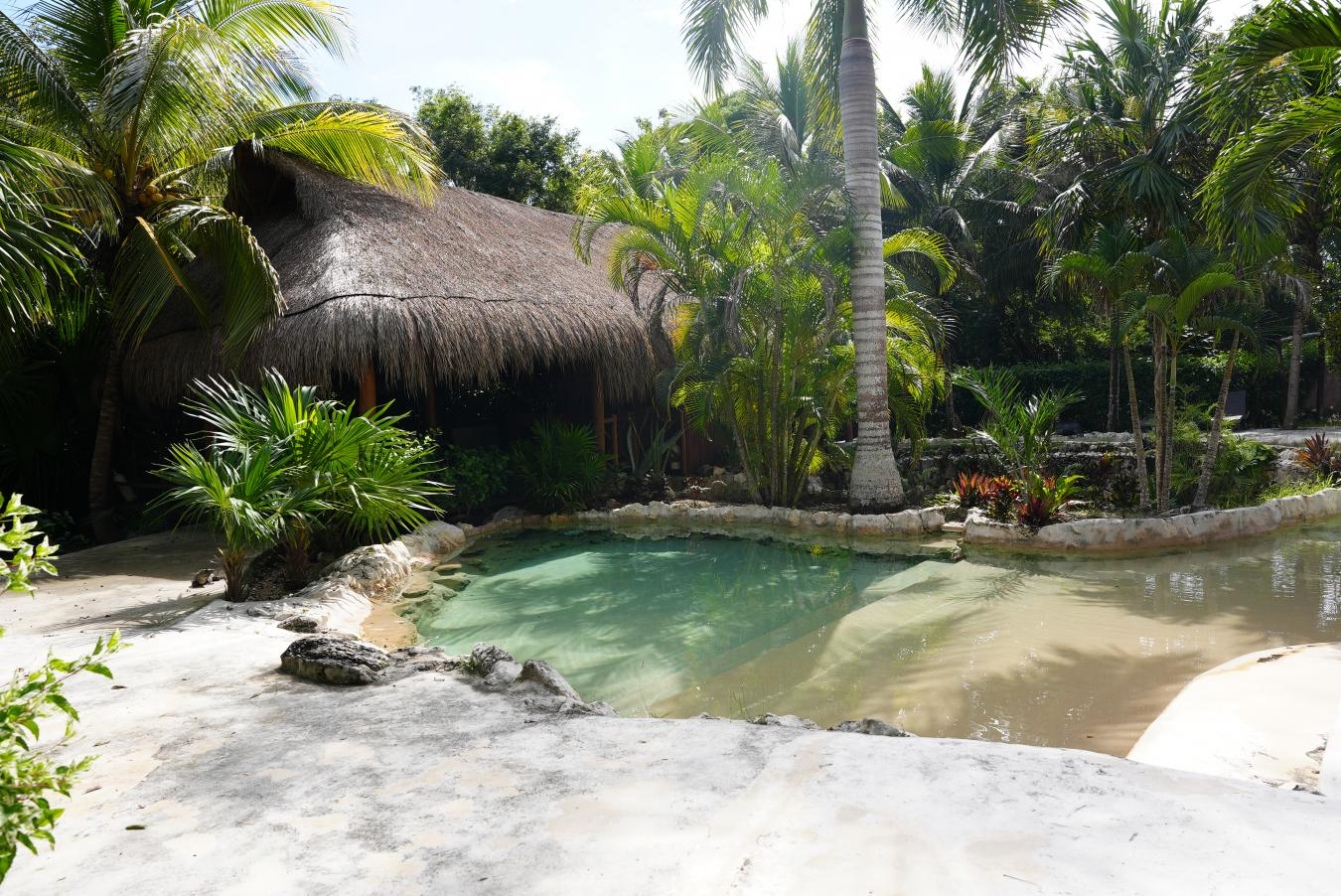 property-image-6