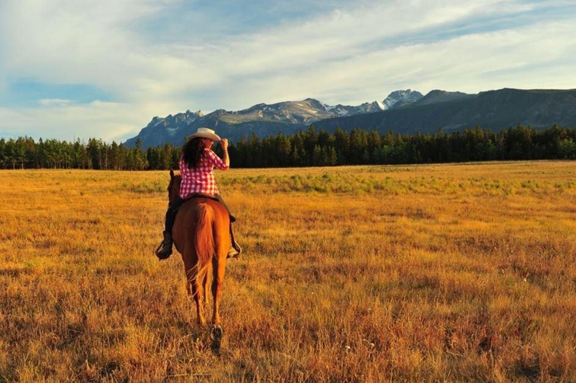 Stunning 40 Acre Eco Tourism and Hunting Ranch