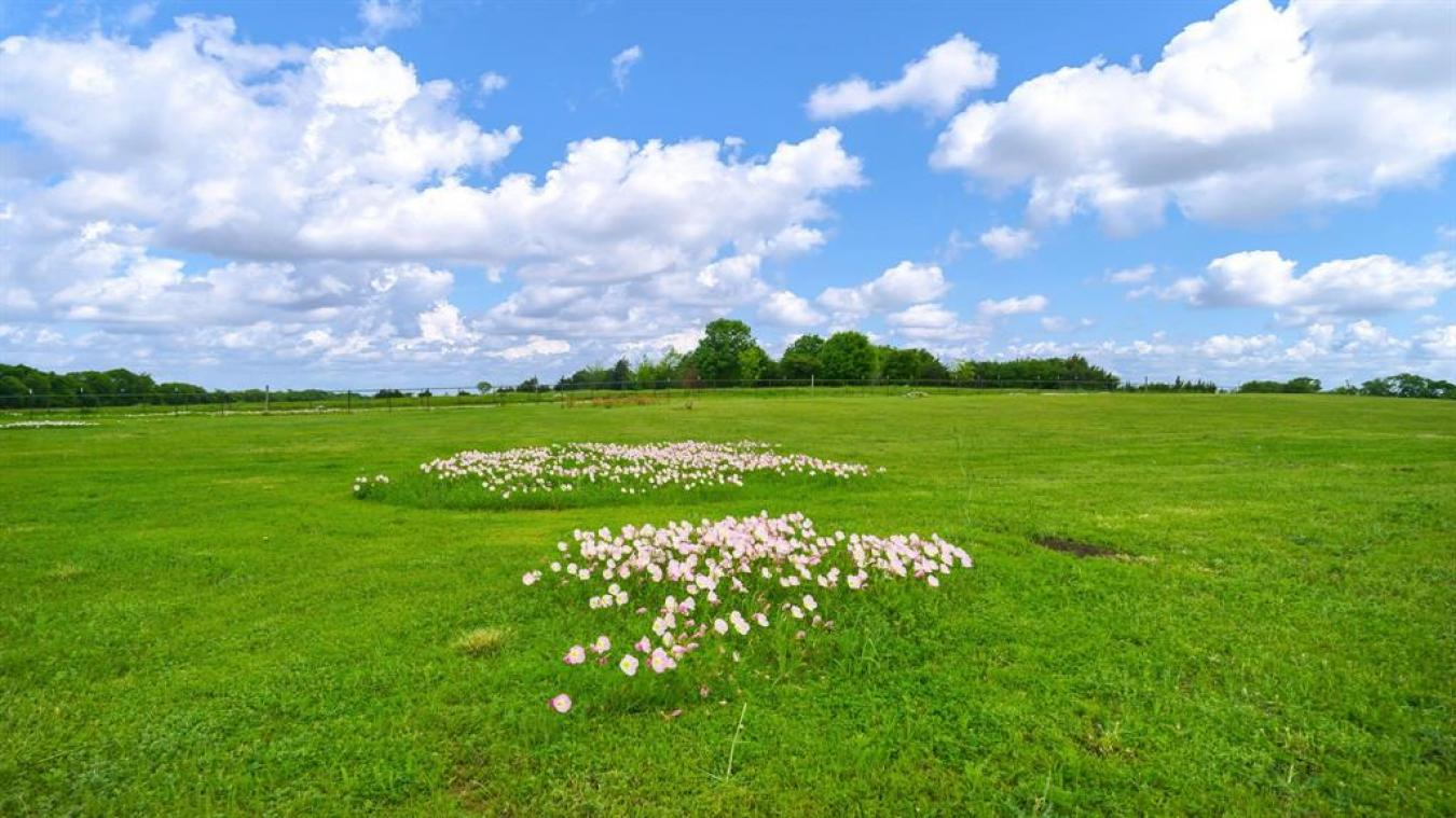 property-image-4