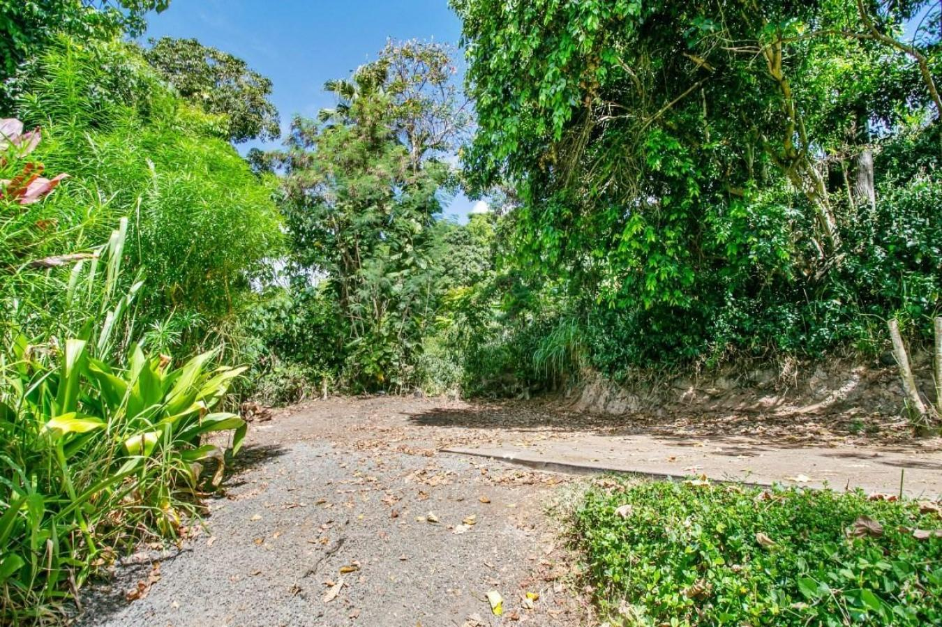 property-image-19