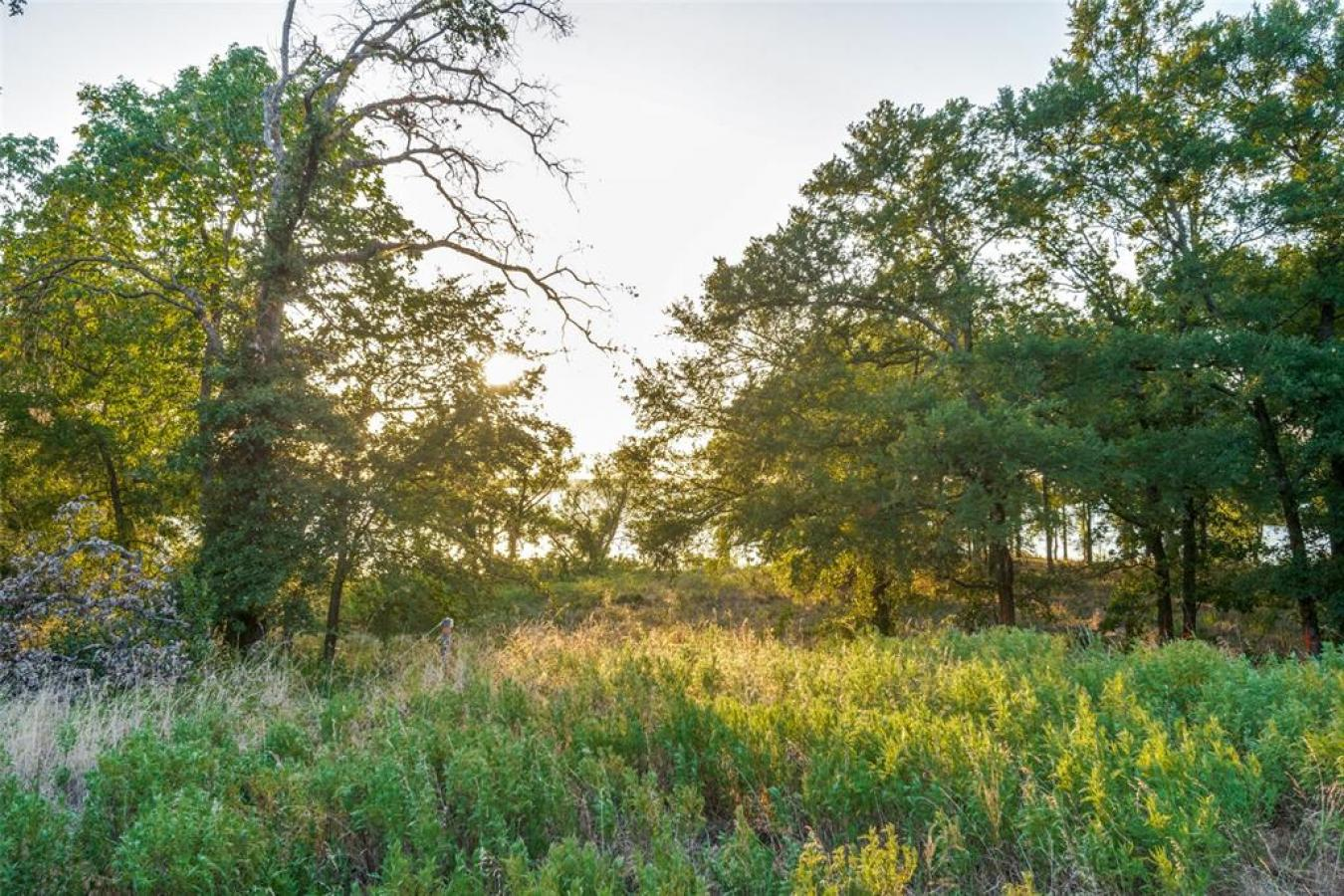 property-image-9