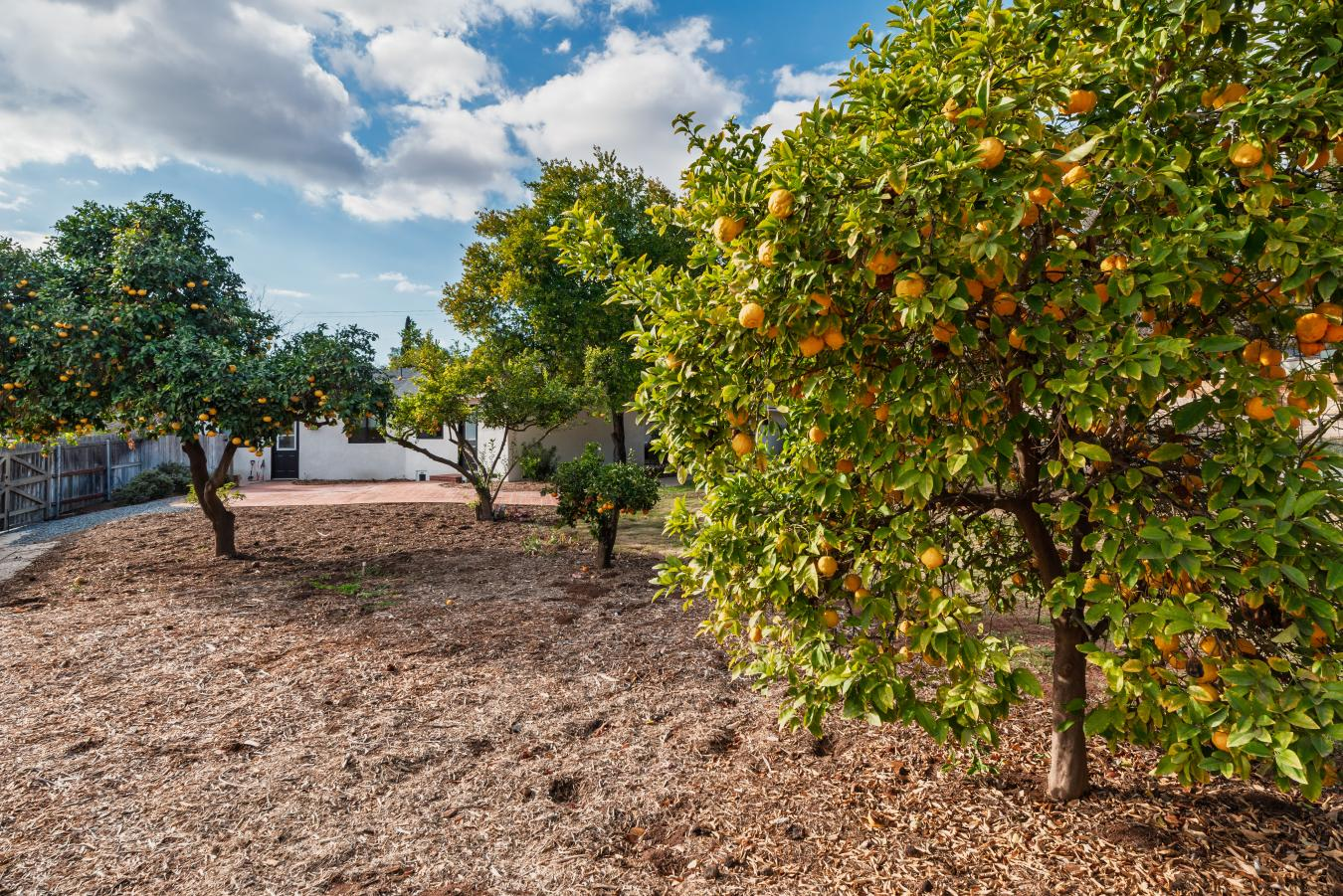 property-image-32