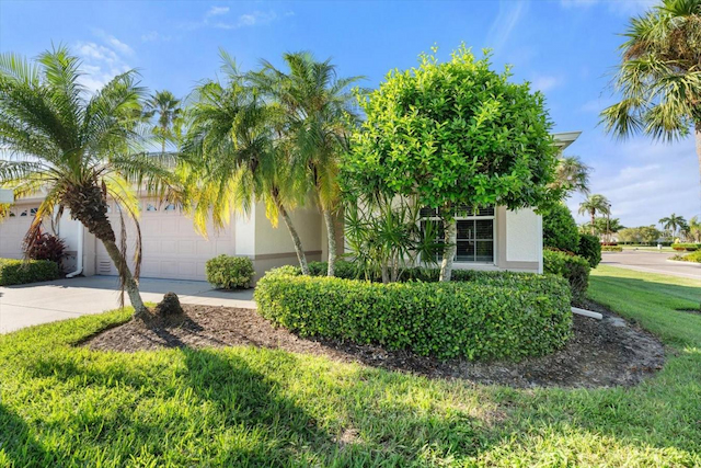 property-image-3
