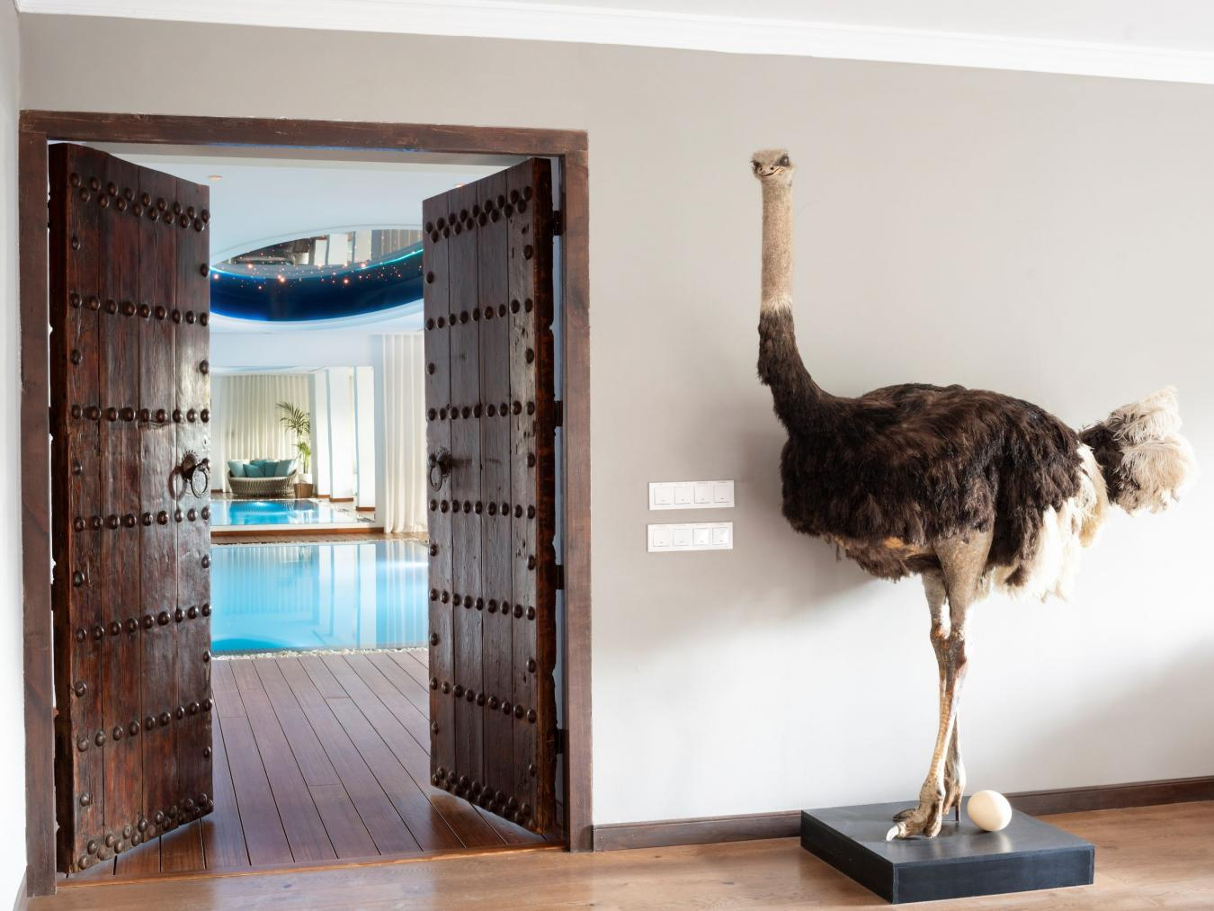 property-image-9