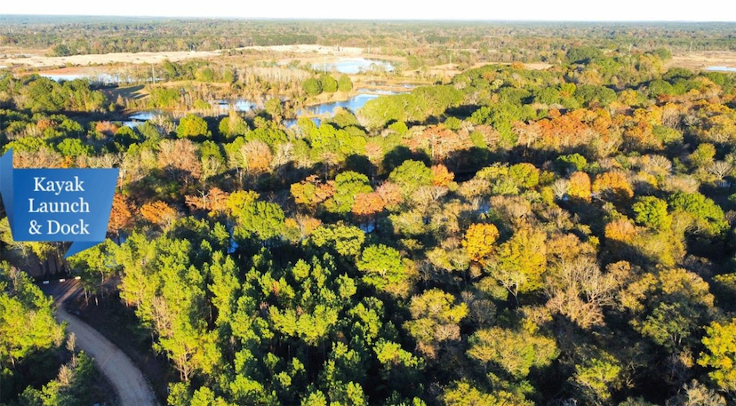 116 Pine Warbler Trail