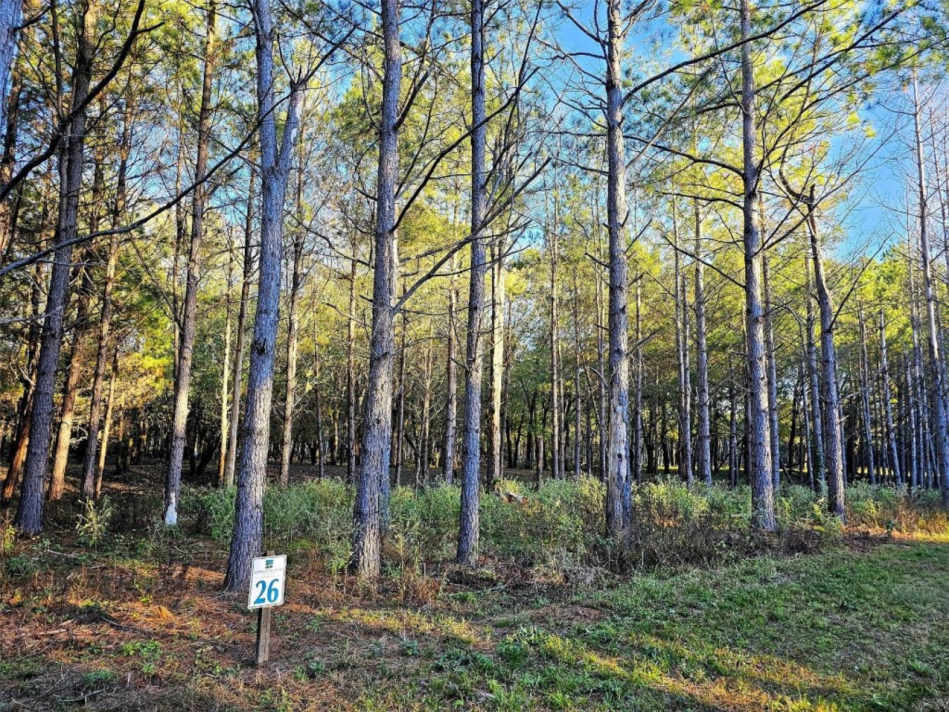 property-image-10