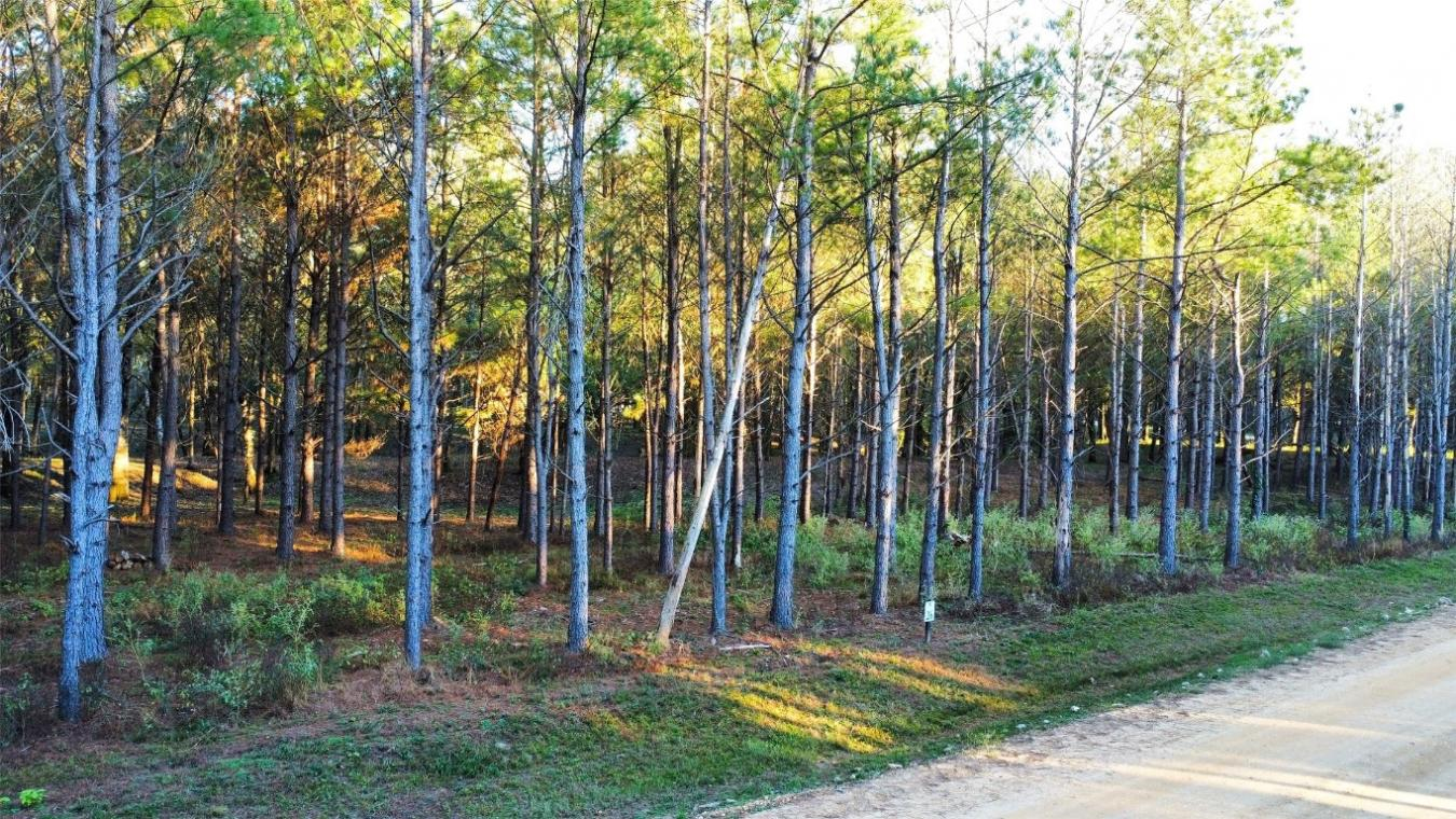 property-image-11