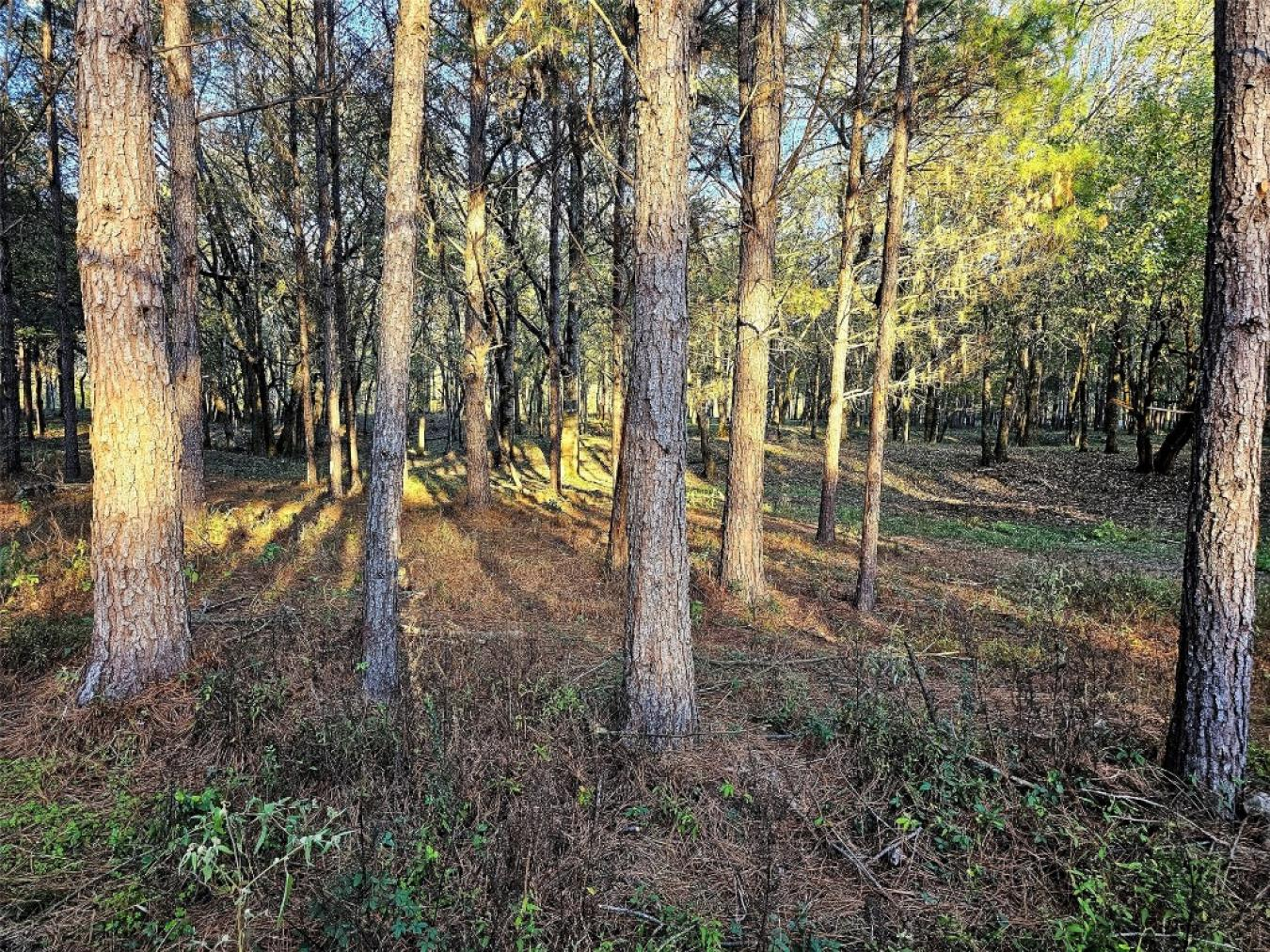property-image-8