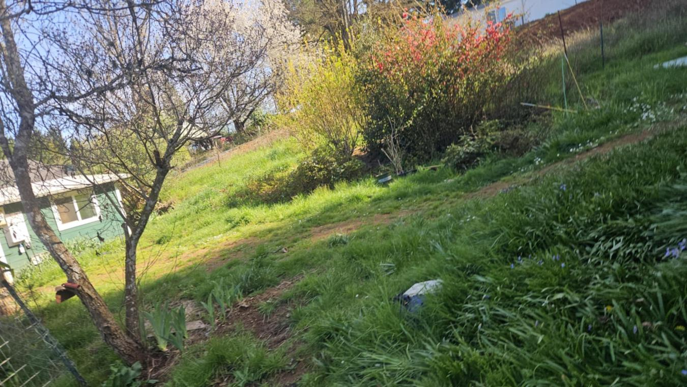 property-image-18