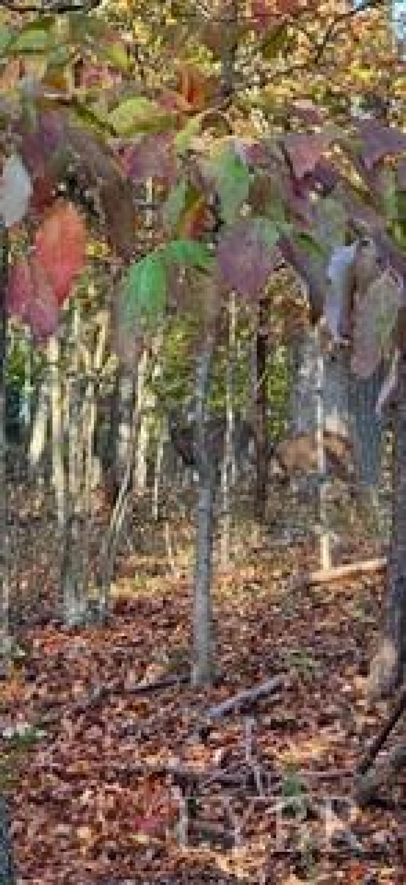 property-image-10